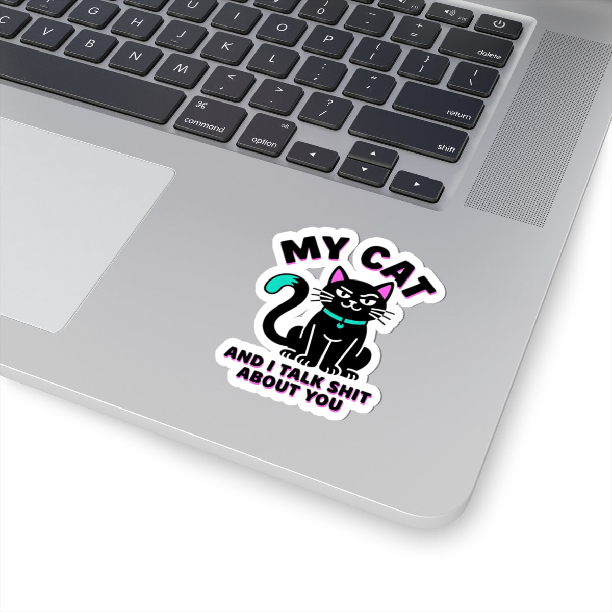 My Cat And I Talk Shit About You Sticker | funny cat, black cat