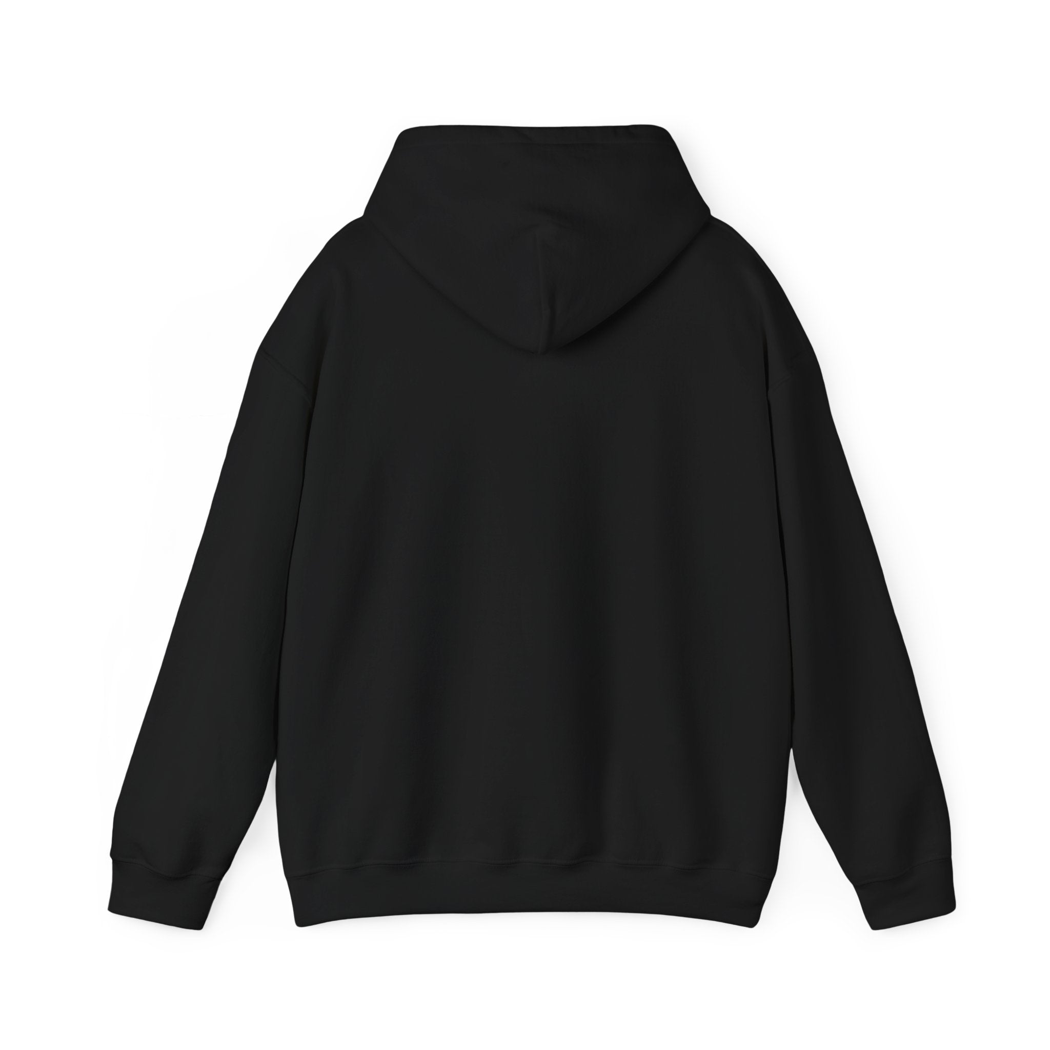 Anti-Social Pro-Cat Hoodie | funny cat shirt, retro cat