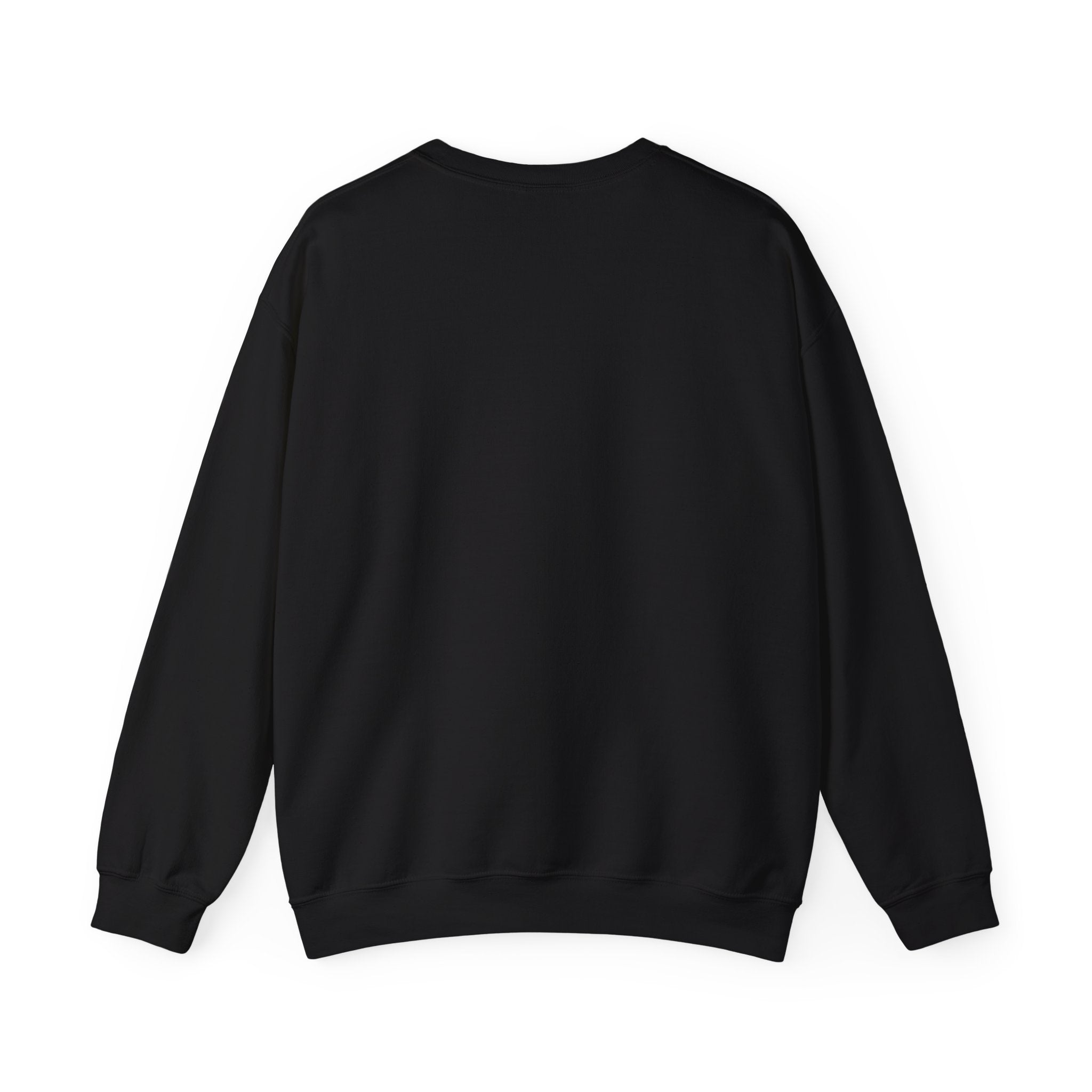 Funny Cat Graphic Sweatshirt | black cat, meme cat, retro font