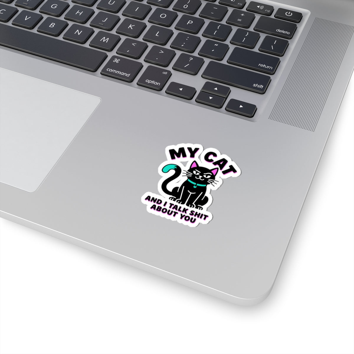 My Cat And I Talk Shit About You Sticker | funny cat, black cat